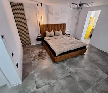 Ocna Mures Apartment | Ssalamandra Home's