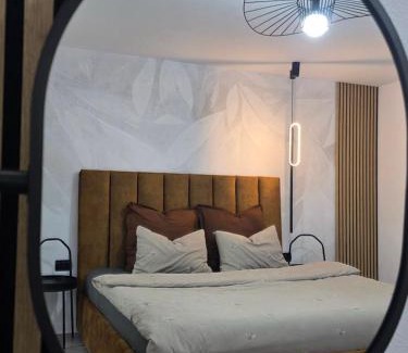 Ocna Mures Apartment | Ssalamandra Home's