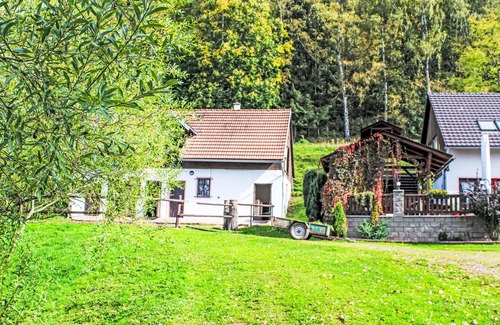 Starkov House | Stárkov by Interhome