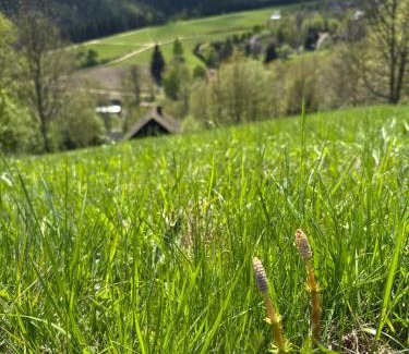 Stare Mesto Cabin | Stříbrná chaloupka Na Vyhlídce