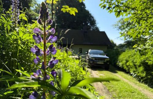 Stare Mesto Cabin | Stříbrná chaloupka Na Vyhlídce