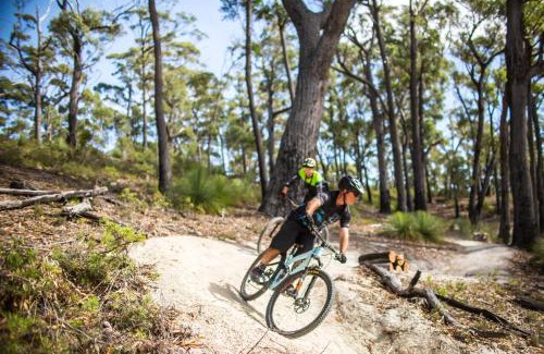 St Helens Other | Explore St Helens Mountain Bike Base: Family-Friendly Retreat