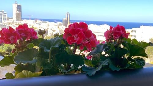 Ta' Giorni Apartment | Bright Seaview Apartment in St. Julian's - Family Friendly