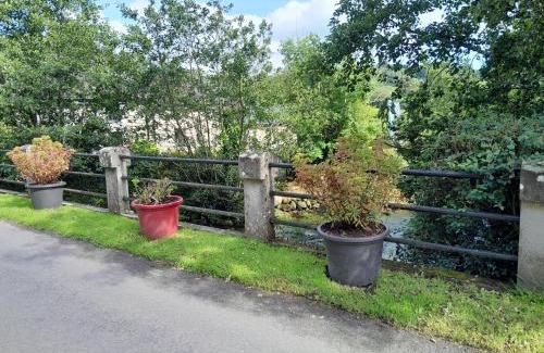 Glynn Other | Pet-Friendly St Mullins Camping for Families and Friends