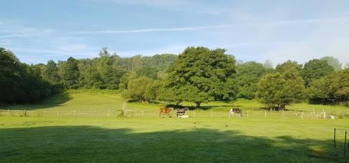 Dorking House | Child-Friendly Retreat at Stable Cottage with 9.4 Rating