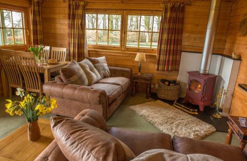 Kippen Cabin | Pet-Friendly Stable Lodge with Exceptional Guest Ratings