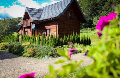 Cisna House | Pet-Friendly Retreat at Stacja Żubracze - Rated 9.9/10
