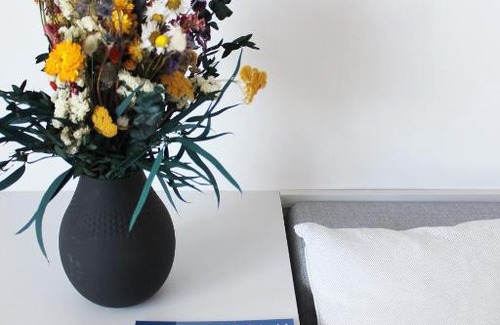Hollabrunn Hotel | Comfortable Stadthotel Hollabrunn: Pet-Friendly Retreat
