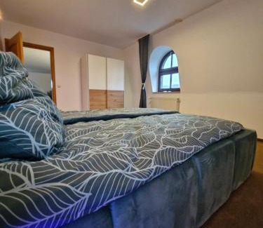 Heidenheim an der Brenz Apartment | Stadtvilla Apartment mit Schlossblick