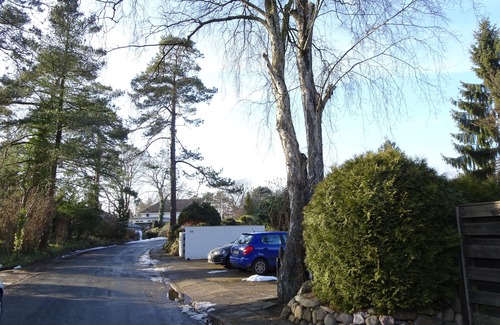 Ehestorf Apartment | Cozy Apartment in the Rose Garden with Breakfast Included