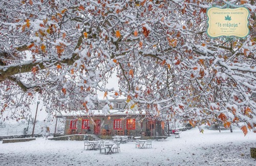 North Tzoumerka House | Top-Rated Stalisma: Family-Friendly with Breakfast Included