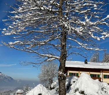 Scheffau am Tennengebirge Hotel | Elegant Stallerhof: Pet-Friendly with Hot Tub & Breakfast