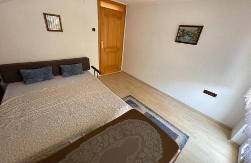 Mali Radic Apartment | Stan na dan Cazin
