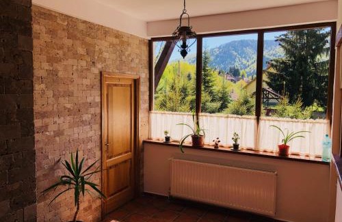 Baile Tusnad House | Exceptional Stay at Stanca Soimilor with Pool & Beach Access