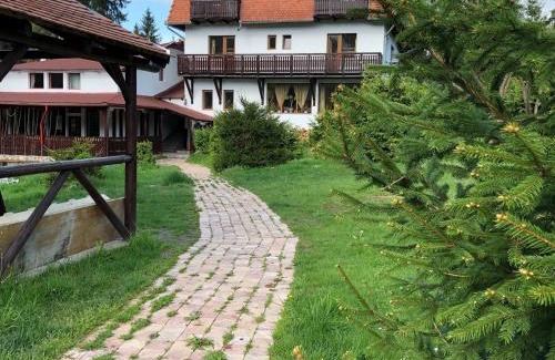 Baile Tusnad House | Exceptional Stay at Stanca Soimilor with Pool & Beach Access