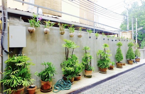 Old City Apartment | Family-Friendly Standard Room in Chiangmai Awaits You