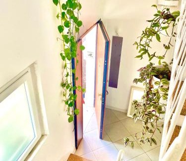 Ferrara Bed & Breakfast | Relaxing Retreat with Ocean View and Private Bath