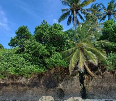 Gede Apartment | Star Beach Paradise