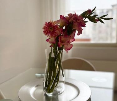 Tampere Apartment | Star of Annala