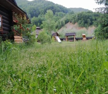 Sheshory House | Relax at Stara Khata Карпати: Guest Rated 9.8, Pool & Pets
