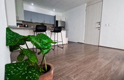 Coyoacan Apartment | Cozy Starlight Studio in Mexico City with Spa & Breakfast