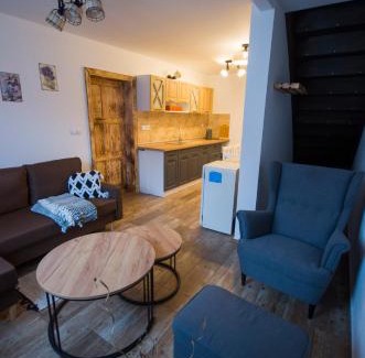 Benesov nad Cernou Apartment | Statek DĚRAVÁ BOTA