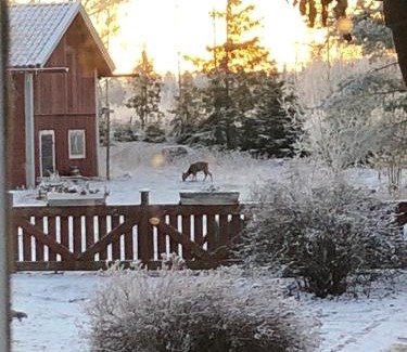 Eskilstuna Municipality House | Stavsmyra: Family-Friendly Retreat with 9.5/10 Rating