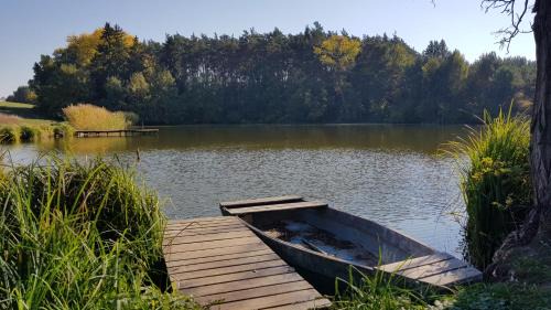 Bledzew House | Experience Stawy u Sikory: Pet-Friendly Agrotourism Escape