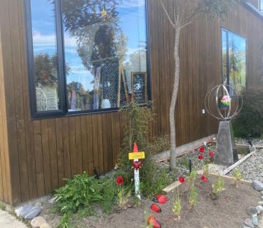 Mapua Bed & Breakfast | Art Gallery Retreat: Family-Friendly & Pet Welcoming Stay