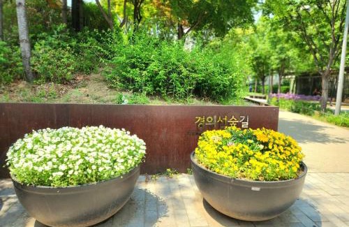Yongmun-dong Apartment | Convenient Stay Byulbam - Minutes from Hyochang Park Station