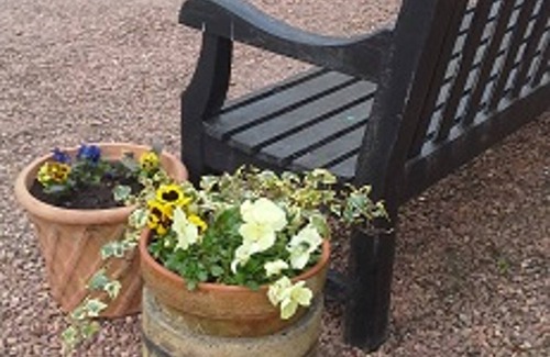 Pittenweem Bed & Breakfast | Experience a Castle Stay with Ocean Views near St. Andrews
