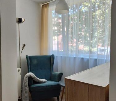 Old Town Apartment | Stay in Żabi Kruk
