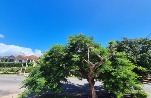 Sommerschield House | Cozy Stay Inn - Guest House with Restaurant & Breakfast