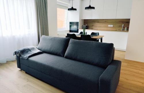 Panevezys county Apartment | Stay Rokiškis apartments