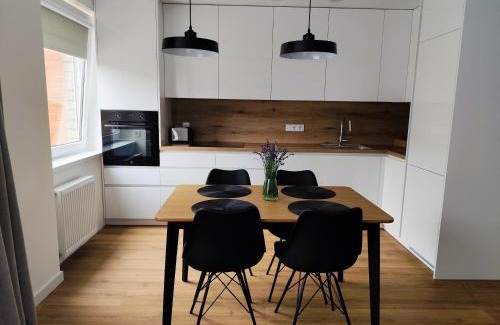Panevezys county Apartment | Stay Rokiškis apartments