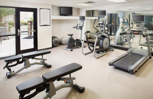 San Angelo Hotel | Pet-Friendly Retreat at Staybridge Suites San Angelo
