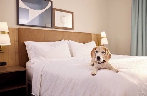 Tucson Hotel | Discover Staybridge Suites Tucson Airport with Pool & Spa