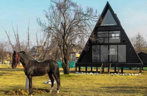 Srinagar Villa | Discover StayVista at The Loft: Pet-Friendly Retreat