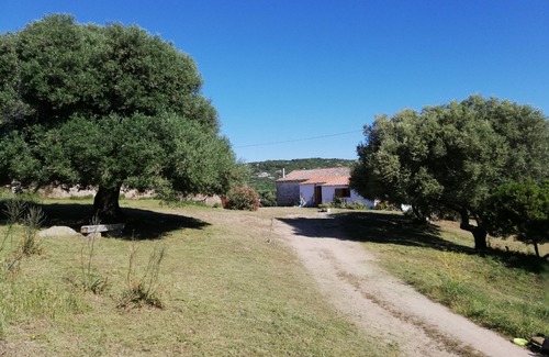 Luogosanto House | Experience Stazzo Chivoni: A XIX Century Country Retreat