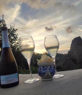 Sa Castangia Villa | Pet-Friendly Stazzu La Piredda with Pool & 9.8 Guest Rating