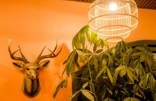 Da Lat Hotel | Discover Steed Hotel Đà Lạt: Family-Friendly & Breakfast Included