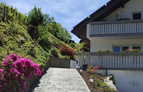 Bad Peterstal-Griesbach Apartment | Tranquil Steepleview House with Breakfast & Child-Friendly Fun