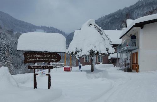 Aftersteg Apartment | Inviting Steiert Panorama Apartments in Todtnau, Pet-Friendly