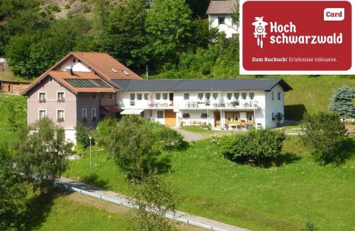 Aftersteg Apartment | Inviting Steiert Panorama Apartments in Todtnau, Pet-Friendly