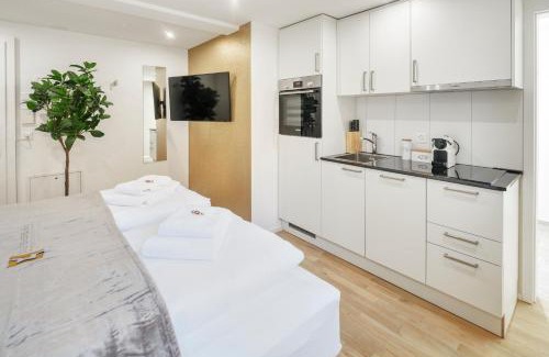 St. Gallen Apartment | Pet-Friendly EH Apartments Saturn with Kitchen & Breakfast