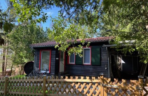 Drei Annen Hohne House | Pet-Friendly Steinbachhütte 2 with Great Guest Ratings