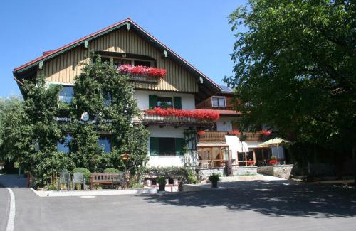 Tiefenbach Hotel | Pet-Friendly Steiner Wirt: Ideal for Families and Travelers