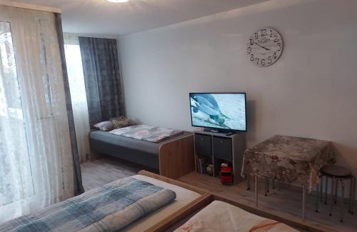 Homburg Apartment | Affordable Stay at Steinhübel Near the University