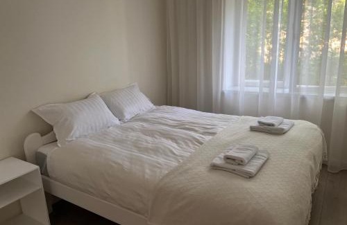 Kuldiga Apartment | Stella Apartment