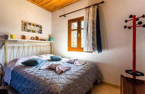 Trikolonoi Apartment | Stemnitsa Stone Residence - Cozy Mountain Escape for Families